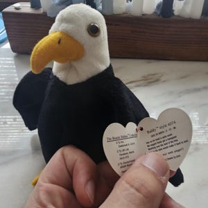 Może przedstawiać: Pluszowy orzeł Baldy Beanie Baby z białą głową, czarnym korpusem i żółtym dziobem. Zabawka ma dołączoną metkę w kształcie serca. Na metce widnieje napis "Baldy style 4074" i data urodzenia.