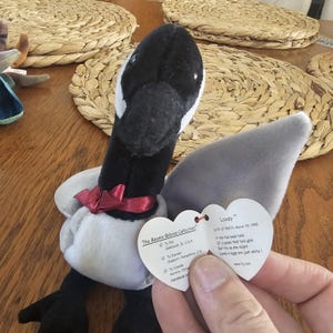 Puede incluir: Un juguete de peluche de ganso de The Beanie Babies Collection. El ganso tiene cabeza y cuello negros, alas grises y cuerpo blanco. Lleva una cinta roja alrededor del cuello. Tiene una etiqueta en forma de corazón.