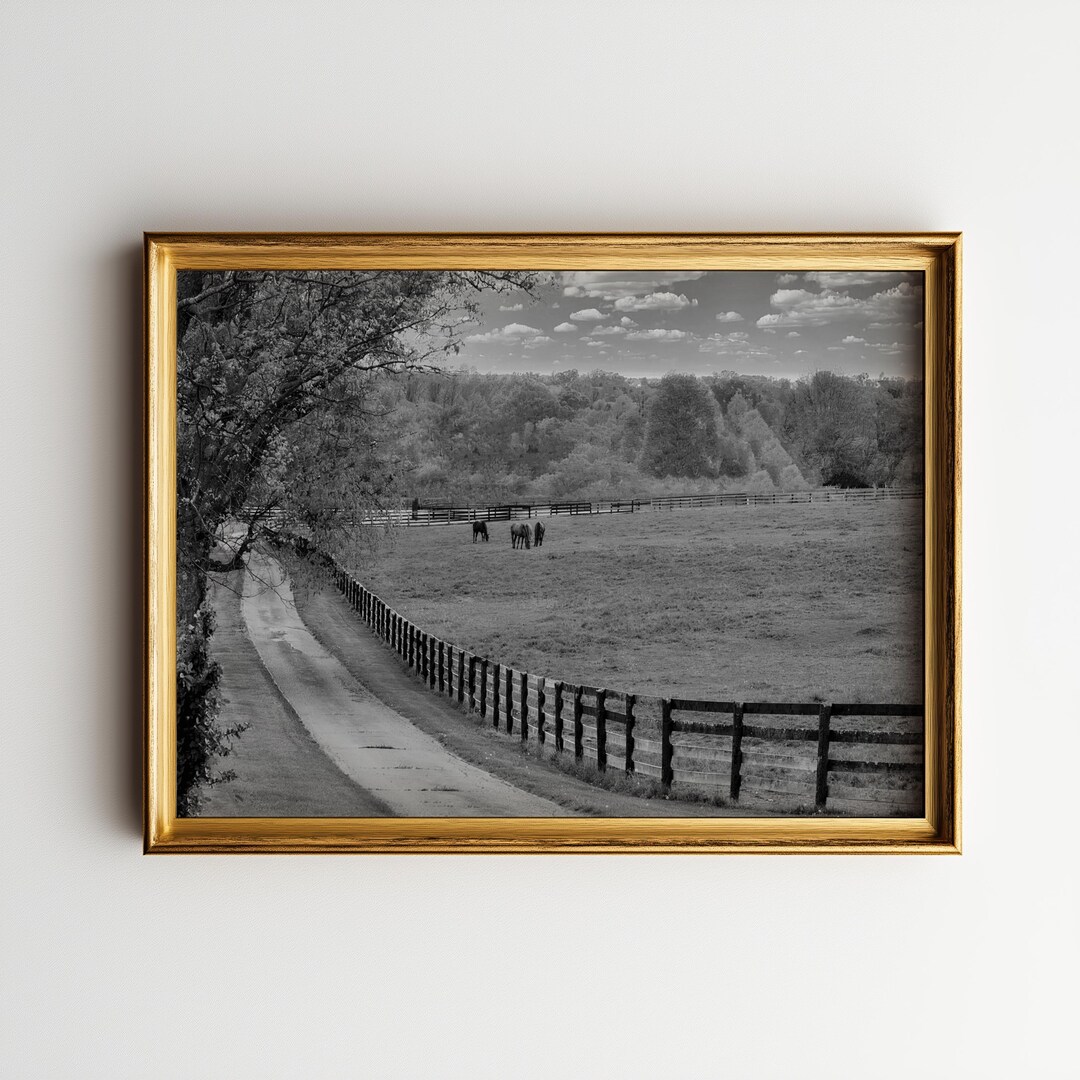 Black and White Horse Landscape Print - Fine Art Photography - Equine ...