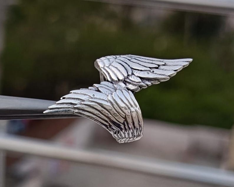 May include: A detailed, silver-colored wing-shaped sculpture. The sculpture features intricate feather detailing and is likely made of metal. The wings are positioned as if in flight, with a blurred green background.