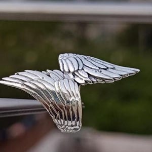 May include: A silver-colored ring shaped like a pair of outstretched wings. The ring features detailed feather textures and is set against a blurred green background. The ring is a piece of jewelry.