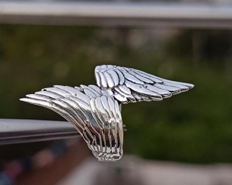 May include: A silver-colored ring shaped like a pair of outstretched wings. The ring features detailed feather textures and is set against a blurred green background. The ring is a piece of jewelry.
