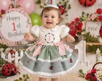 Ladybug 1st Birthday Dress, Baby Girl First Birthday Outfit, Personalized Embroidered Dress, Pink Sage Green Gingham Dress