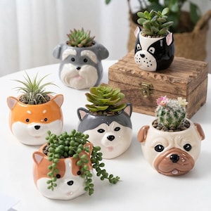 Può includere: Una collezione di sei vasi in ceramica a forma di animale, ognuno con il design di una diversa razza canina, tra cui un carlino, un husky e uno shiba inu. Ogni vaso contiene una piccola succulenta, un cactus o una pianta ricadente.