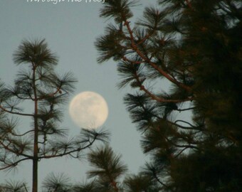 Full Moon Photo Art Print: Blessings Flicker Poem, Pine Trees Wall Decor