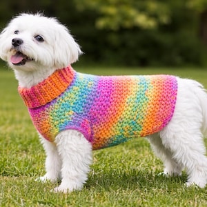 Puede incluir: Un perro blanco pequeño que lleva un suéter de punto de rayas de arcoíris de colores. El suéter tiene un cuello alto y cubre el cuerpo del perro. El perro está de pie sobre hierba verde.