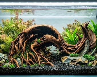 Natural Driftwood Sculpture for Betta & Fish Tank 3D printed 29