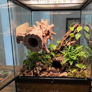 Reptile Log Hide | 3D Printed Hollow Tree Trunk  | Suction Cup Mount | Multiple Sizes | Bioactive Terrarium Decor 167