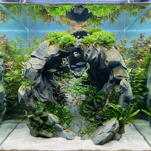 Peut inclure: Un aquarium en verre présentant une grande formation rocheuse grise centrale avec une arche naturelle, recouverte de plaques de mousse vert vif et de plantes aquatiques. De petits poissons argentés aux rayures bleues nagent sous l'arche.