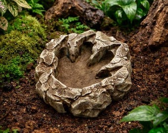 3D Gedruckter Dinosaurier Fußabdruck Aquarium Dekor - Fossiles Fisch Versteck (2 Stück) 14