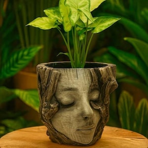 May include: A decorative plant pot with a face carved into the front. The pot is made of a gray material and has a textured, wood-like appearance. The pot contains a green plant with light green and yellow leaves. The pot is sitting on a wooden surface.