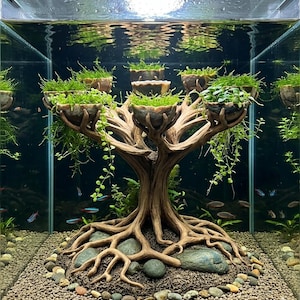 May include: An aquarium featuring a tree-shaped ornament with multiple small planters holding green plants. The tree's base has exposed roots and is surrounded by small stones. The water contains small fish. The aquarium is a unique aquatic display.