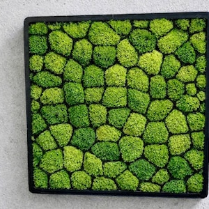 May include: Square framed wall art with a mosaic of preserved green moss. The moss is arranged in a pattern of irregular shapes, creating a textured, natural appearance. The black frame provides a contrast to the vibrant green.