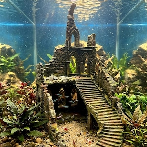 cheap fish tank accessories uk Unique Fish Tanks