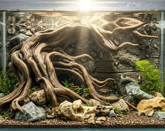 Natural Driftwood Sculpture for Fish Tank, Terrarium, and Paludarium 28