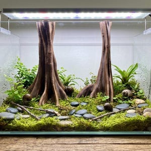 Tropical Giant Tree Trunk Set - 2 Piece Exotic Root Aquarium Decor - Mangrove Style 17