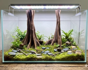 Tropical Giant Tree Trunk Set - 2 Piece Exotic Root Aquarium Decor - Mangrove Style 17