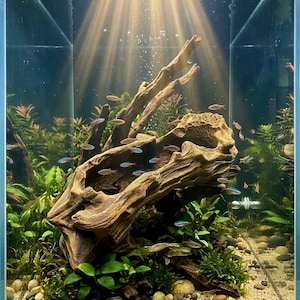 Vaso de raízes de madeira flutuante: decoração natural para aquário e suporte para plantas de interior (58)