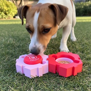 Könnte beinhalten: Ein Jack Russell Terrier schnuppert an einem rosa und roten Hunde-Puzzlespielzeug auf einer Wiese. Das Spielzeug hat einen roten Knopf mit dem Text "Nose Work PolyPet" und ein Fach mit Leckerlis. Der Hund konzentriert sich auf das Spielzeug.
