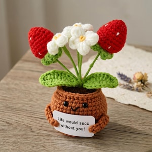 Peut inclure: Une plante de fraises crochetée dans un pot marron. La plante présente deux fraises rouges avec des graines blanches, des fleurs blanches à cœur jaune et des feuilles vertes. Le pot a un visage souriant et porte une pancarte avec l'inscription "Life would succ without you!"