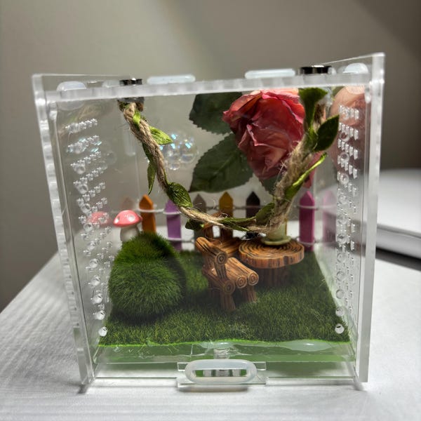 Junior Jumping Spider Enclosure, First home.  Decorated 10x10x10cm, Fully Assembled, Ready To Use. Complete bundle