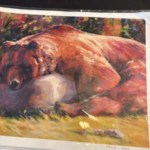 May include: A rectangular print featuring an impressionistic painting of a large brown bear resting on the ground. The bear has thick fur rendered in shades of brown, red, and orange. The artist's name, Tricia May, is printed in the bottom corner.