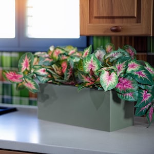 May include: A rectangular, sage green planter box filled with Caladium plants. The plants have large, heart-shaped leaves with green edges and pink and white centers. The planter sits on a white countertop in front of a window and wooden cabinet.