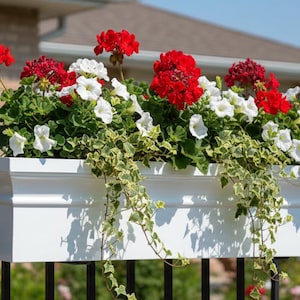 May include: A white rectangular window box filled with red and white flowers and trailing green foliage. The box is mounted on a black wrought iron fence. A house and blue sky are visible in the background.