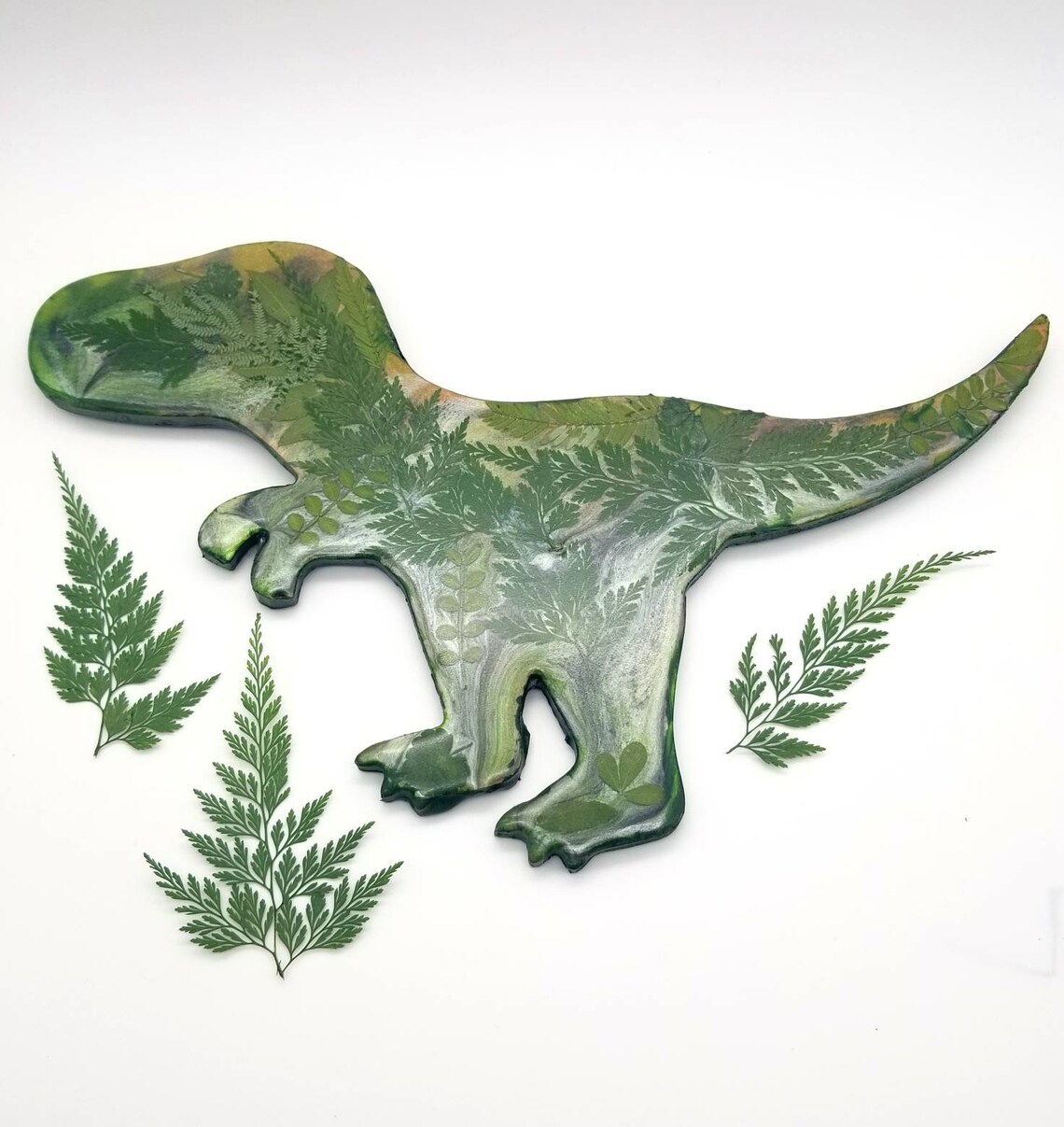 Pressed Flower Art Wall Decor Dinosaur Nursery Botanical | Etsy