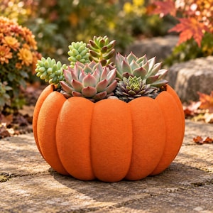 May include: A bright orange pumpkin-shaped planter with a textured surface, filled with a variety of green and pink-tipped succulents. The planter has distinct vertical ridges and a rounded form, holding several different types of small plants.