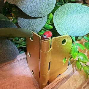 Micro LadyBug Magnetic Door Hinge Topper Set of 3