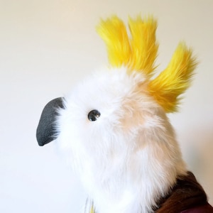 Sulphur Crested Cockatoo Scoodie | Parrot Hood | Parrot Costume