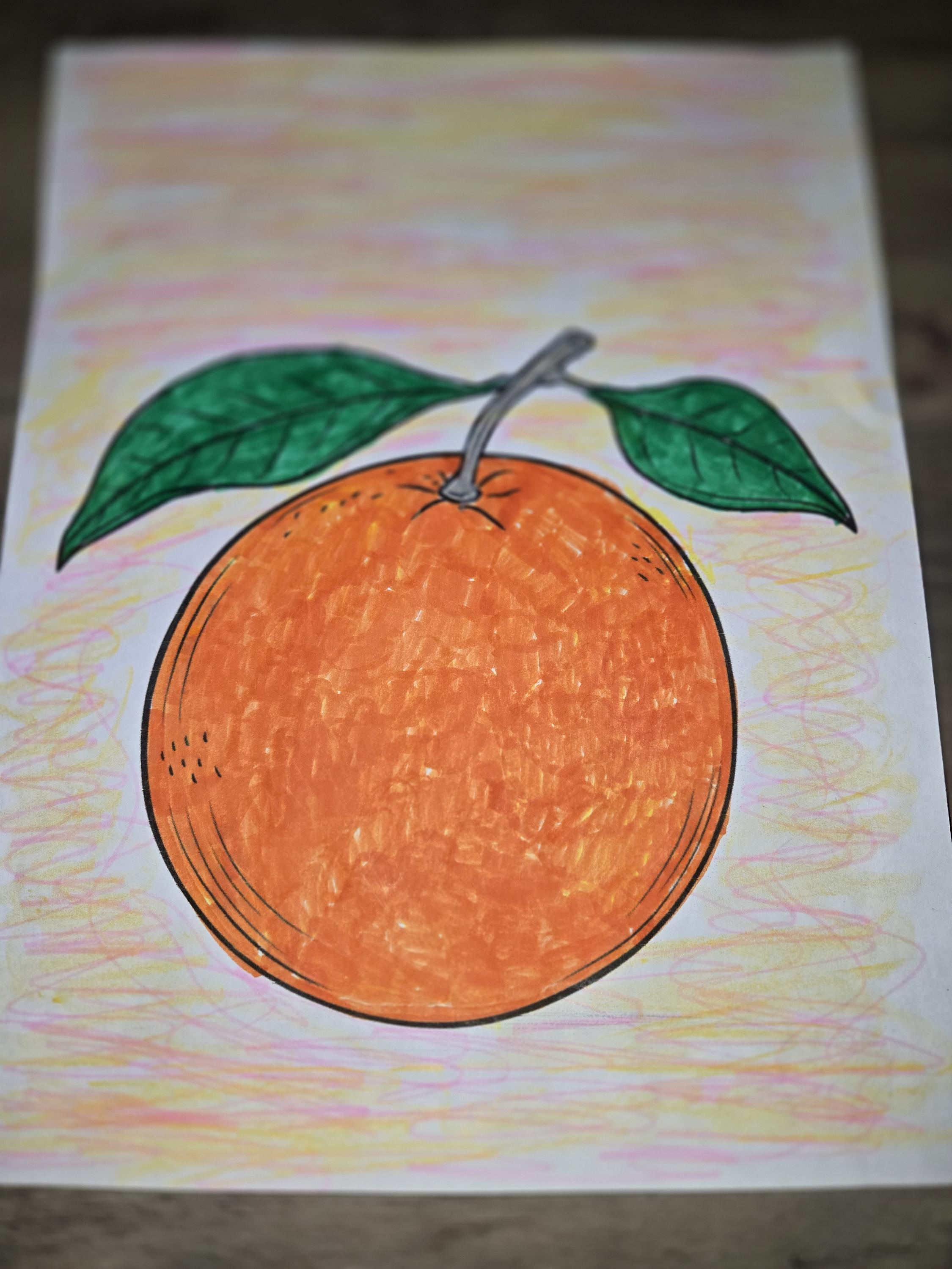 Orange Coloring Page – Simple Fruit Outline Printable for Kids & Adults ...