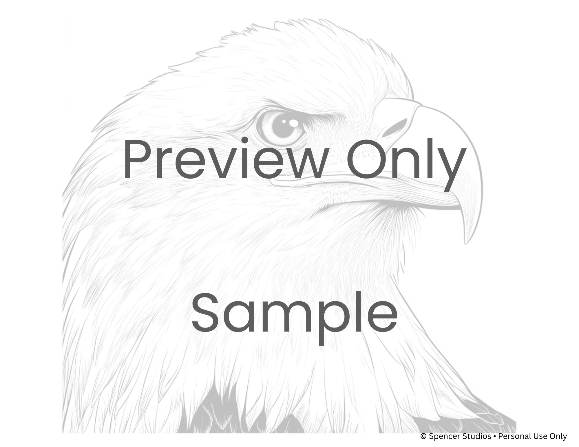 Bald Eagle Portrait Coloring Page – Majestic Bird Head Printable Line ...