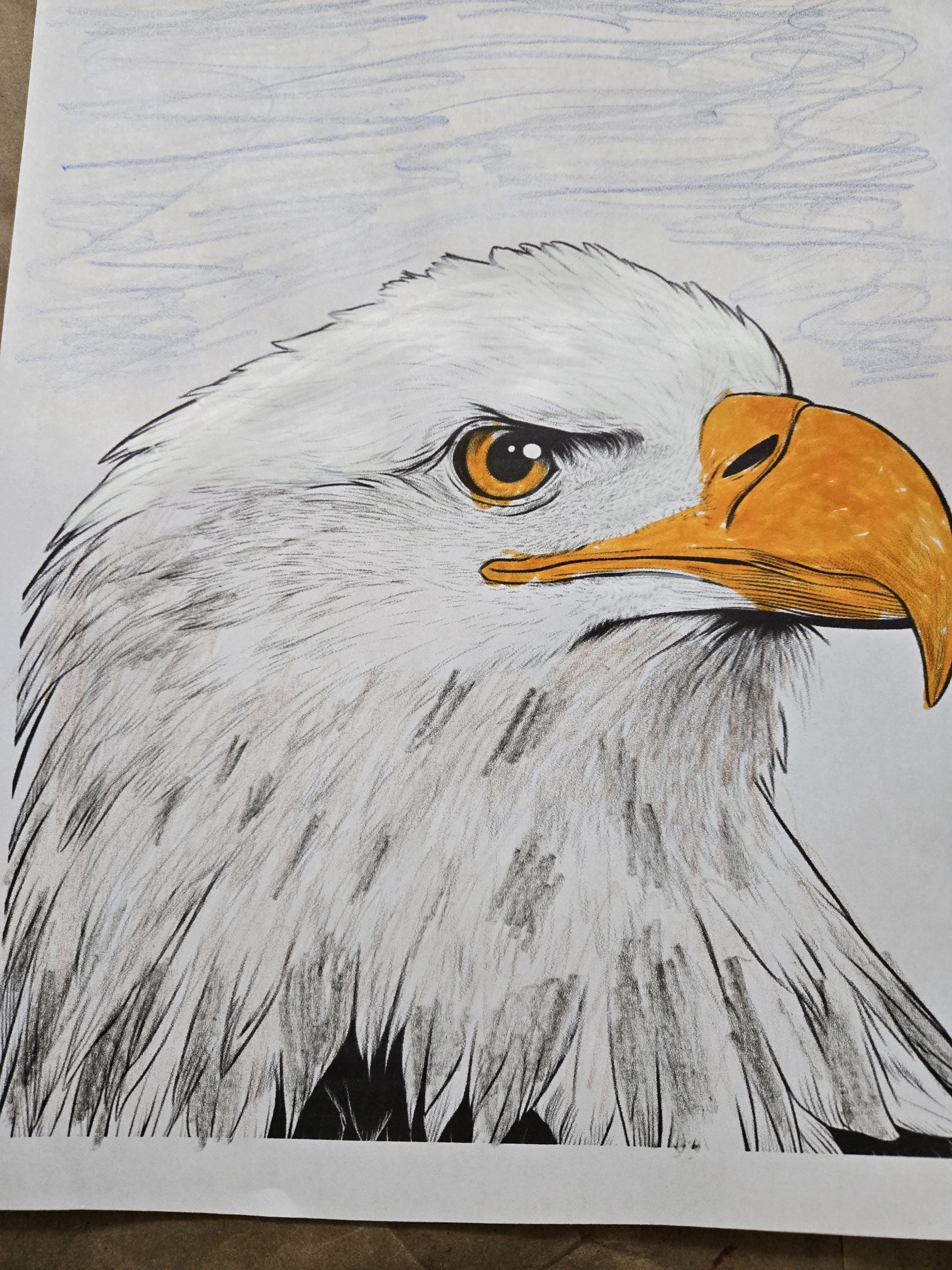 Bald Eagle Portrait Coloring Page – Majestic Bird Head Printable Line ...