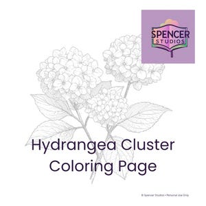 Op de afbeelding: Een zwart-wit lijntekening van een hortensiagroep met drie bloemhoofden en bladeren. De tekst luidt Hydrangea Cluster Coloring Page en Spencer Studios. Het ontwerp staat op een witte achtergrond met een paars logovak in de hoek.