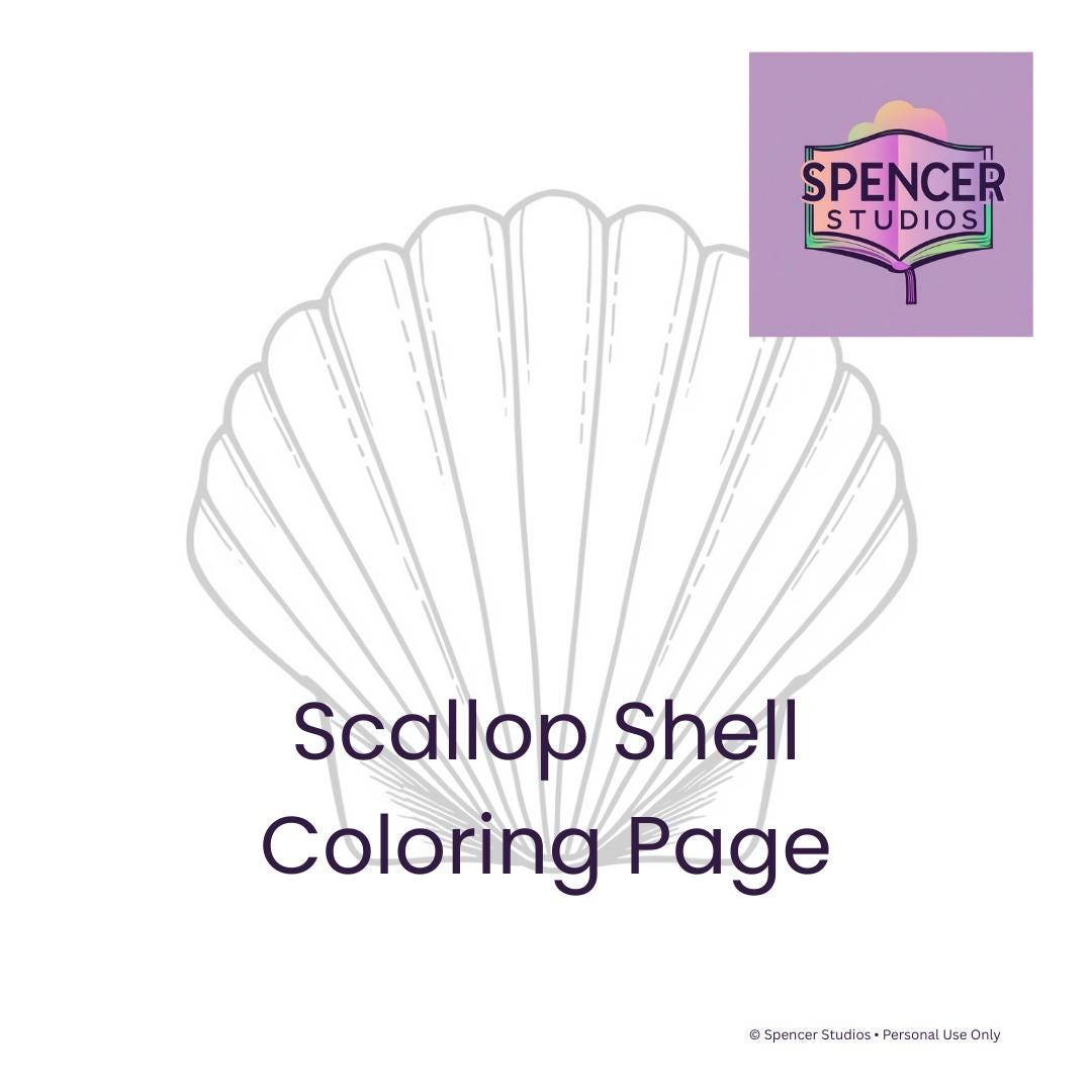 Scallop Shell • Printable Ocean-themed Coloring Page - Etsy
