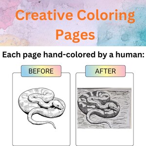 Peut inclure: Creative Coloring Pages avec le texte Chaque page colori&eacute;e &agrave; la main par un humain. Deux panneaux montrent une comparaison avant et apr&egrave;s d'un dessin au trait noir et blanc d'un serpent enroul&eacute;, avec des ombres ajout&eacute;es sur le panneau apr&egrave;s.