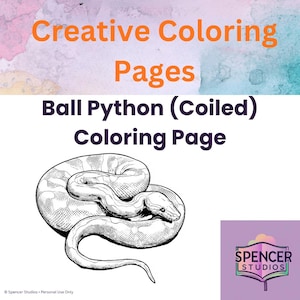 May include: A digital coloring page featuring a black and white line art illustration of a coiled ball python. The text reads Creative Coloring Pages Ball Python (Coiled) Coloring Page and includes a Spencer Studios logo in the bottom corner.