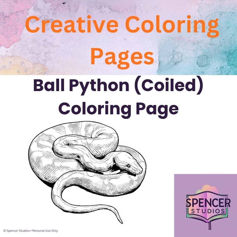 Peut inclure: Une page de coloriage num&eacute;rique pr&eacute;sentant une illustration au trait noir et blanc d'un python royal enroul&eacute;. Le texte indique Creative Coloring Pages Ball Python (Coiled) Coloring Page avec le logo Spencer Studios dans le coin.