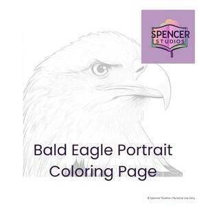 May include: A black and white line art coloring page featuring a detailed portrait of a bald eagle. The text "Bald Eagle Portrait Coloring Page" is printed below the illustration, and a Spencer Studios logo is in the top right corner.