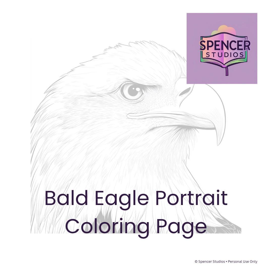 Bald Eagle Portrait Coloring Page – Majestic Bird Head Printable Line ...