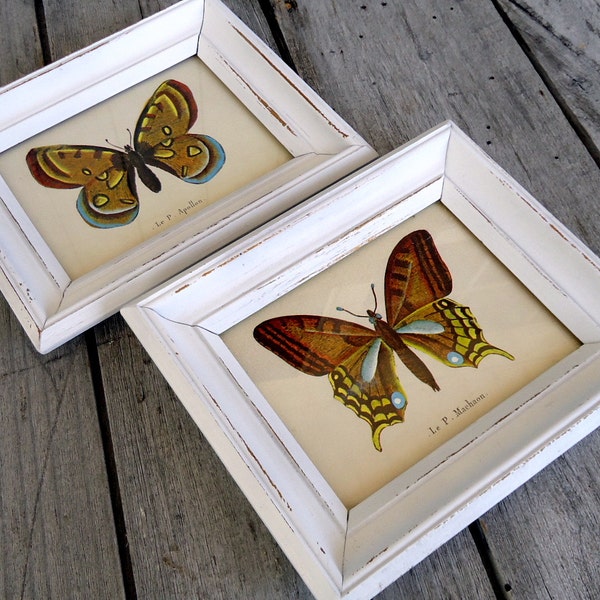 Vintage Butterfly Art Prints Framed Wood Wooden White Distressed Rustic Wall Decor Butterflies  Set