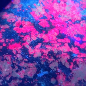 May include: Close-up abstract image with a striking colour palette. The photograph presents a mix of vivid pink and blue tones, creating a textured effect. The composition is dominated by the interplay of these bright colours, resulting in a visually engaging image.