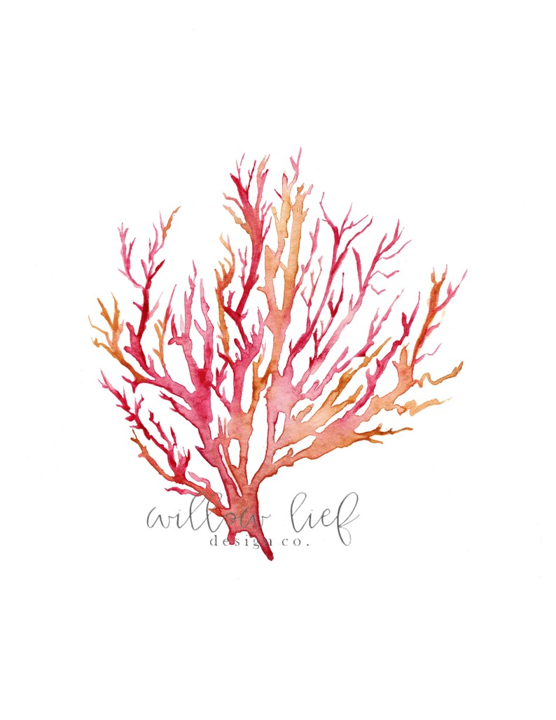 No. 3 Sea Coral Red Coral Beach Art Beach Decor Watercolor Etsy