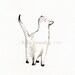 Wall Art, Cat painting, Cat Watercolor, I look to You, siamese cat, Cat art, Minimal black and white