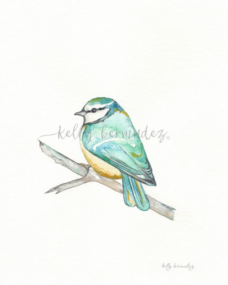 May include: Watercolor painting of a blue tit bird perched on a branch. The bird features teal, yellow, and white plumage. The artwork is set against a white background, with the artist's signature in the corner.