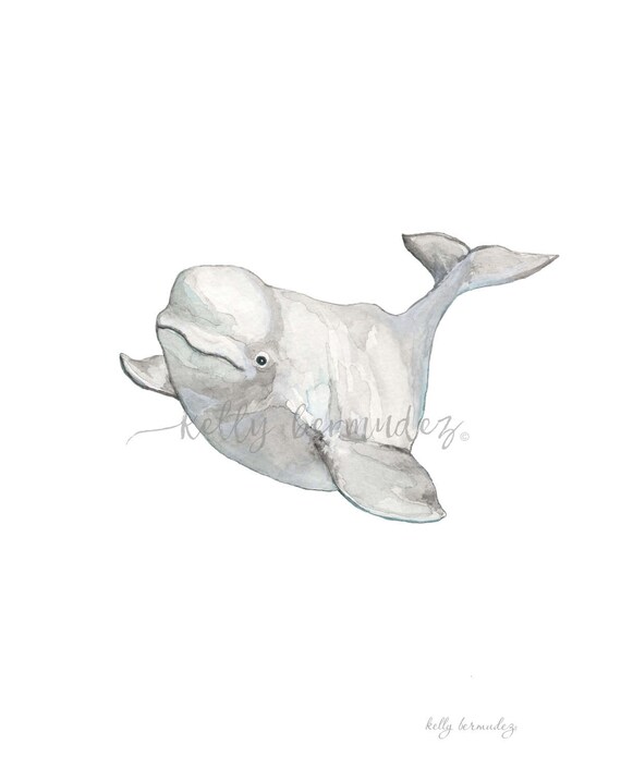 Download Adorable Beluga Cat Wallpaper