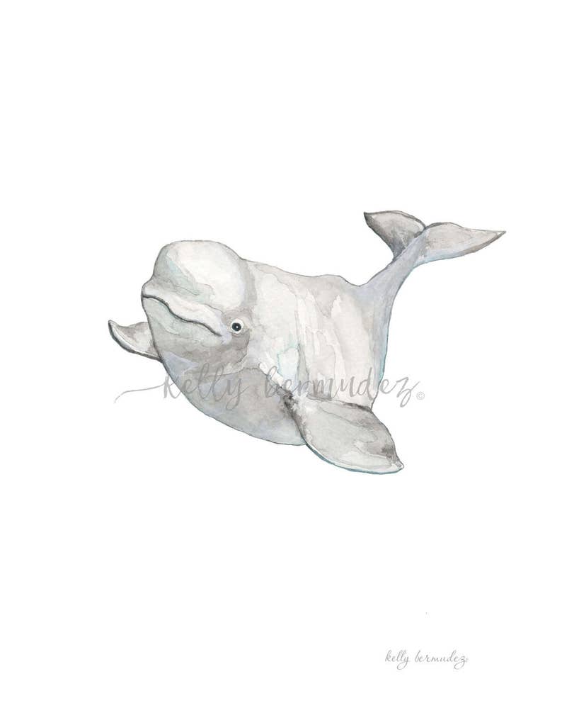 Puede incluir: Pintura acuarela de una ballena beluga blanca nadando en el oc&eacute;ano. La ballena est&aacute; mirando hacia la izquierda y tiene un cuerpo gris claro con un vientre blanco. La cola de la ballena es visible en el fondo.