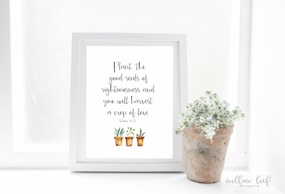 wholesale terrarium plants Wholesale Stunning Terrarium Sets main image 0